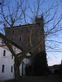 Il vecchio noce e la Rocca