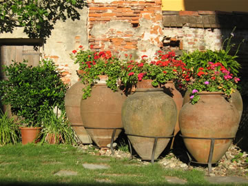 Particolare del giardino
