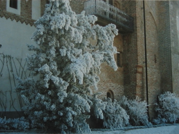 Il giardino in inverno